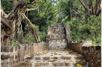Bhowale Datta Temple - Way