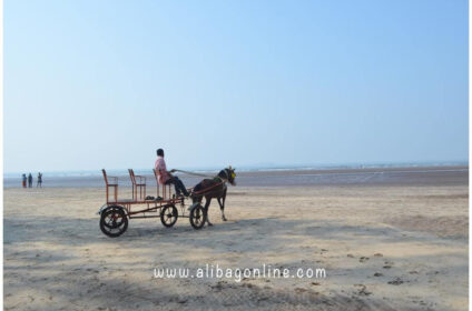 Kashid Beach Horse ride