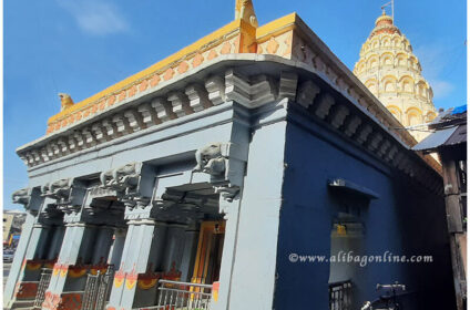 Balaji Temple - sideview