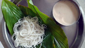 Coconut Milk shevaya