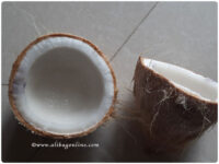 Coconut