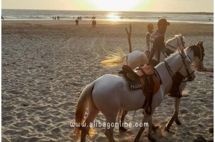 Kashid Beach Horse ride