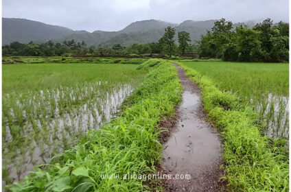 Kondi Waterfall - farms