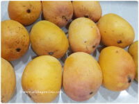 Alphanso Mango