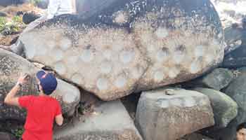 Metalic Rock at Khanderi fort