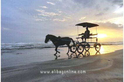 Murud Beach Horse Ride