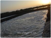 Salt Pans - in progress