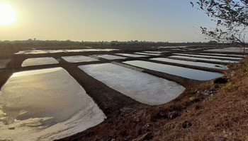 Salt Pans