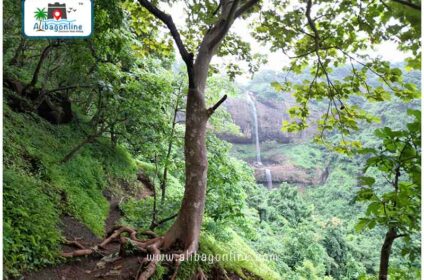 Siddheshwar Ghost Tree