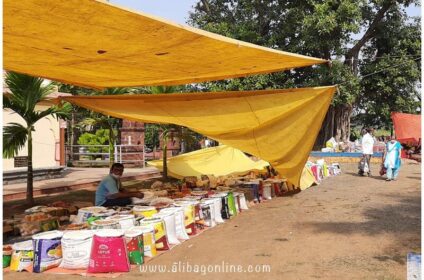 Vitthal Temple Market