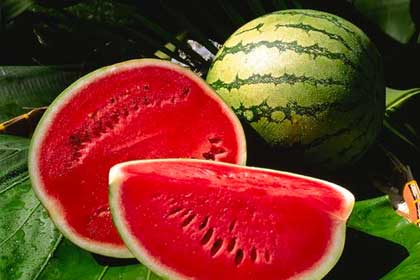 Watermelon