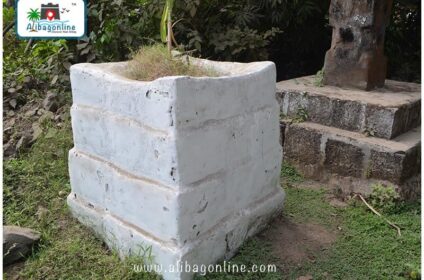 Varsoli Beleshwar Tulsi Vrundavan