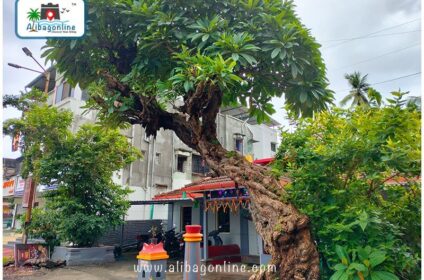 Kashi Vishweshwar Side view