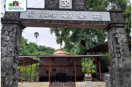 Someshwar Sarai - Gate