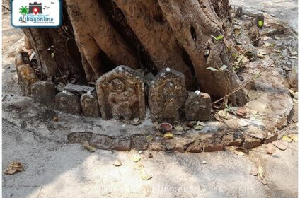 Someshwar Sarai - Ancient Idols