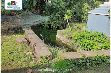 Bhagvati Ekveera Pushkarini