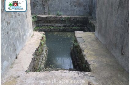 Shree Malleshwar Stepped well